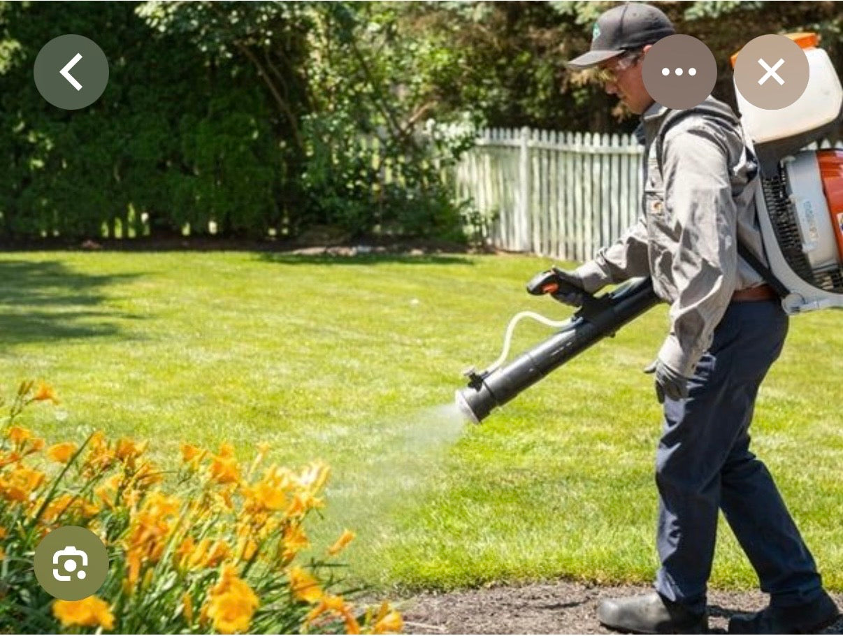 Mid-Summer Insect and Pest Treatments