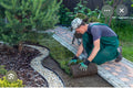 Sod Installation