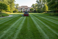 Lawn Maintenance